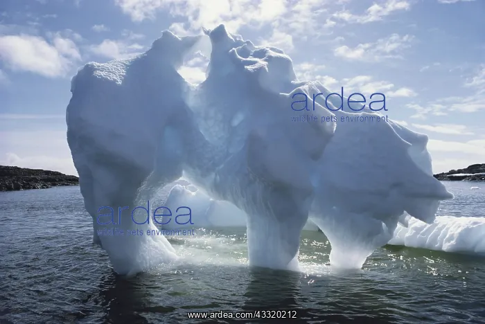 : Icebergs, Antarctica : Icebergs, Antarctica