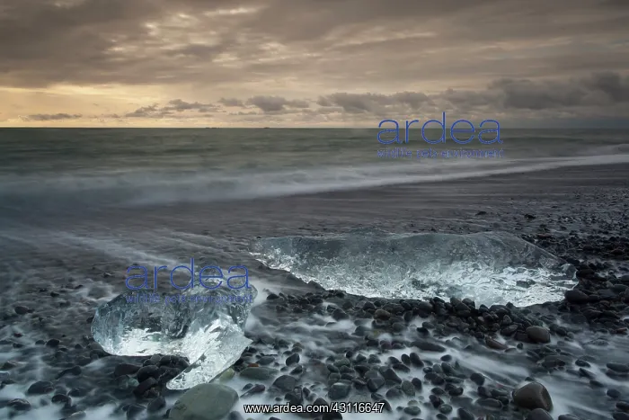 : Icebergs on beach at night : Icebergs on beach at night