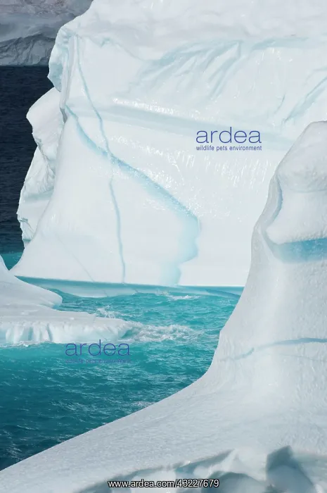: Icebergs, Cape York, Greenland : Icebergs, Cape York, Greenland