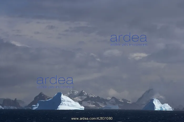 : Icebergs and Clouds : Icebergs and Clouds