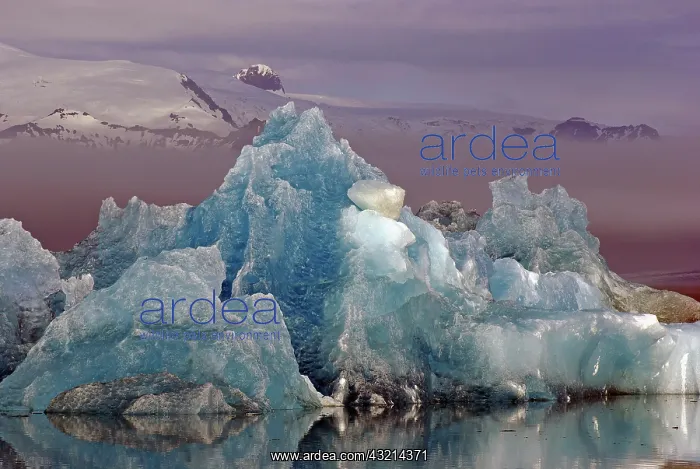 : Icebergs, fog, glacier, Jnkulsarlon, Vatnajnkull : Icebergs, fog, glacier, Jnkulsarlon, Vatnajnkull