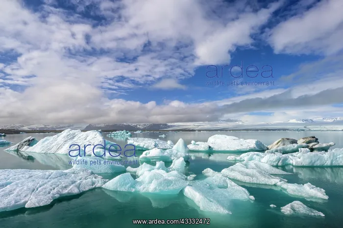 : Icebergs in the glacial lake, Yokulsarlon, Iceland, Europe : Icebergs in the glacial lake, Yokulsarlon, Iceland, Europe