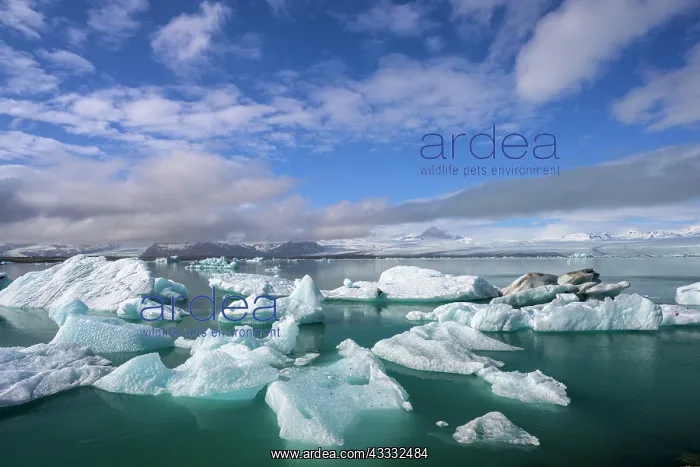 : Icebergs in the glacial lake, Yokulsarlon, Iceland, Europe : Icebergs in the glacial lake, Yokulsarlon, Iceland, Europe