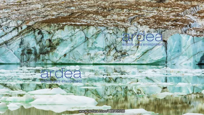: Icebergs on glacial meltwater under Mount Edith : Icebergs on glacial meltwater under Mount Edith