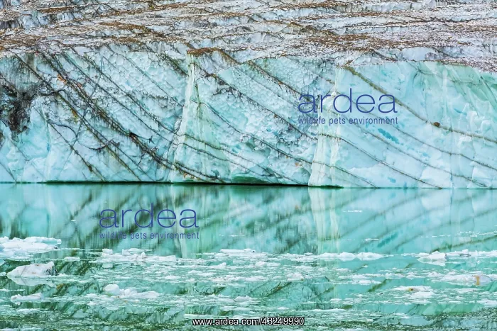 : Icebergs on glacial meltwater under Mount Edith : Icebergs on glacial meltwater under Mount Edith