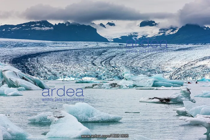  : Icebergs in the glacier lagoon of glacier Vatnaj&, x1abd6c;l