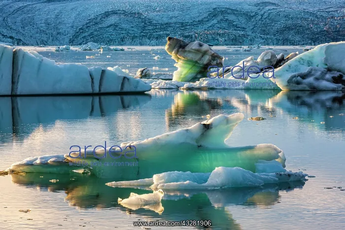 : Icebergs in the glacier lagoon J&, x1abd6c;sarlon : Icebergs in the glacier lagoon J&, x1abd6c;sarlon
