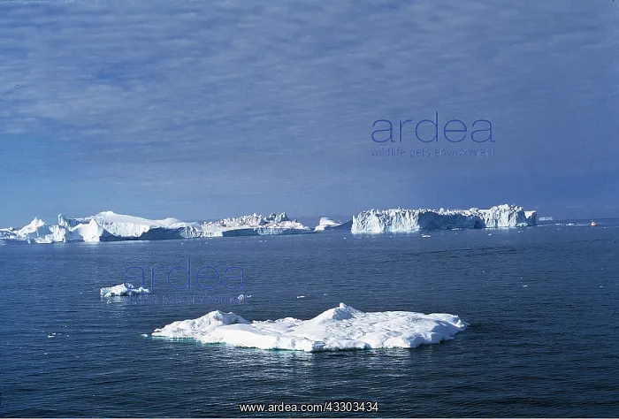 : ICEBERGS - in Greenland : ICEBERGS - in Greenland
