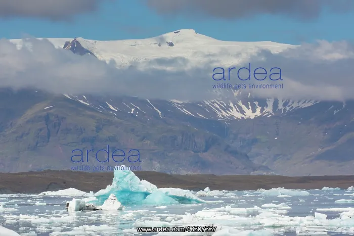 : Icebergs in Joekusarlon glacial lake - Iceland : Icebergs in Joekusarlon glacial lake - Iceland