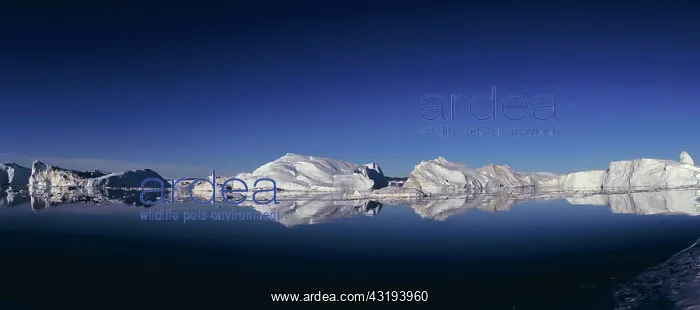 : Icebergs of Kangia Ice fjord (Jakobshavn ice fjord) : Icebergs of Kangia Ice fjord (Jakobshavn ice fjord)