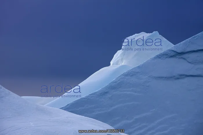 : Icebergs in the Kangia Icefjord, Disko-Bay, West-Greenland : Icebergs in the Kangia Icefjord, Disko-Bay, West-Greenland