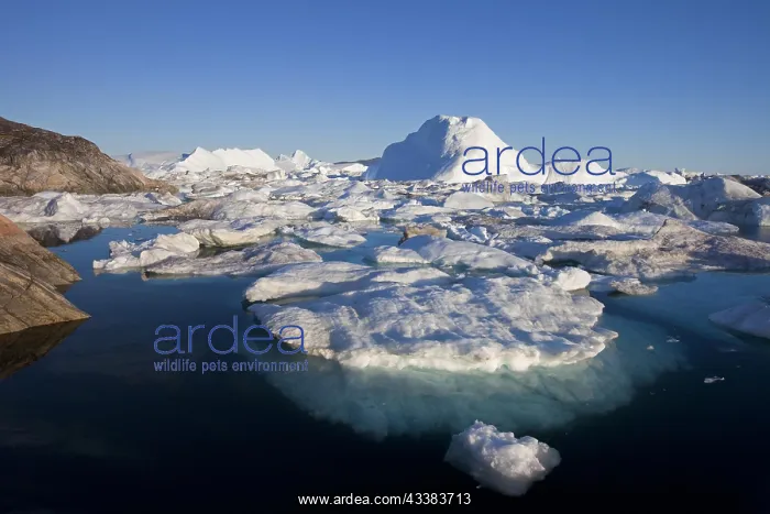 : Icebergs in the Kangia Icefjord, Disko-Bay, UNESCO-World Her : Icebergs in the Kangia Icefjord, Disko-Bay, UNESCO-World Her