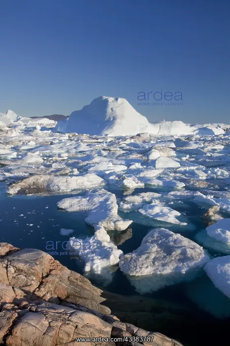 : Icebergs in the Kangia Icefjord, Disko-Bay, UNESCO-World Her : Icebergs in the Kangia Icefjord, Disko-Bay, UNESCO-World Her