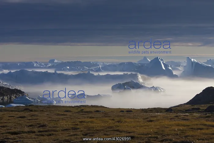  : Icebergs - Kangia Icefjord - Greenland