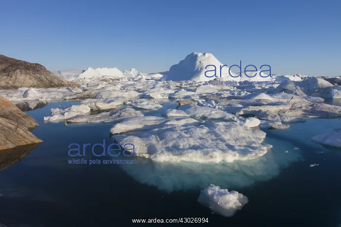  : Icebergs - Kangia Icefjord - Greenland
