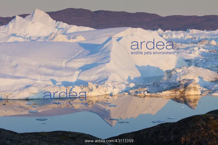  : Icebergs - Kangia Icefjord - Greenland