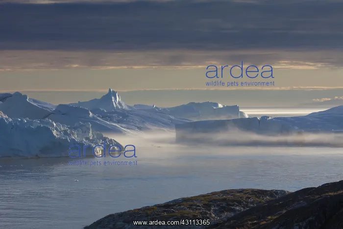  : Icebergs - Kangia Icefjord - Greenland