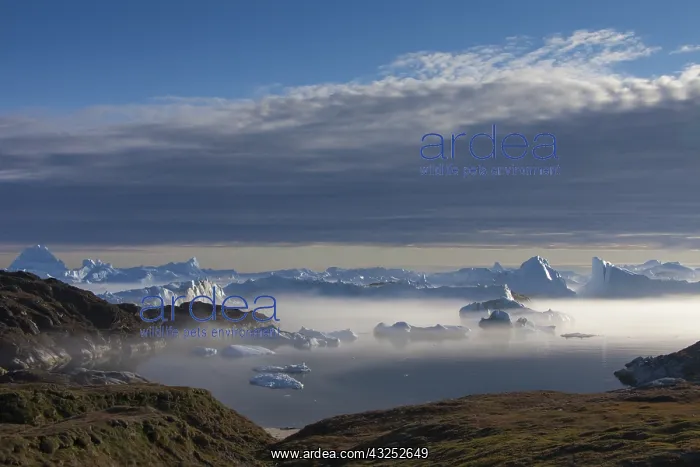  : Icebergs - Kangia Icefjord - Greenland