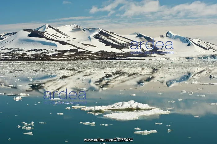 : Icebergs and mountains, Hornsund Fiord : Icebergs and mountains, Hornsund Fiord