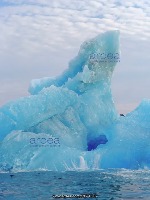 : Icebergs northeast of Isertoq near Tasiilaq close to : Icebergs northeast of Isertoq near Tasiilaq close to