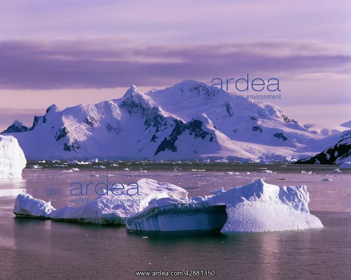: Icebergs off Graham Land Antarctic Peninsula : Icebergs off Graham Land Antarctic Peninsula