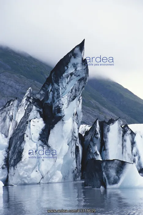 : Icebergs in Portage Lake, Alaska : Icebergs in Portage Lake, Alaska
