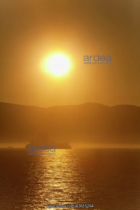 : Icebergs at sunrise Arctic ocean Summer : Icebergs at sunrise Arctic ocean Summer
