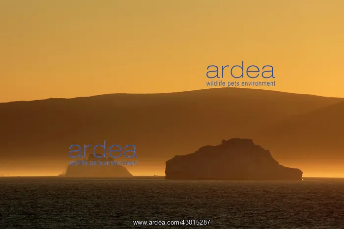  : Icebergs at sunrise Arctic ocean Summer