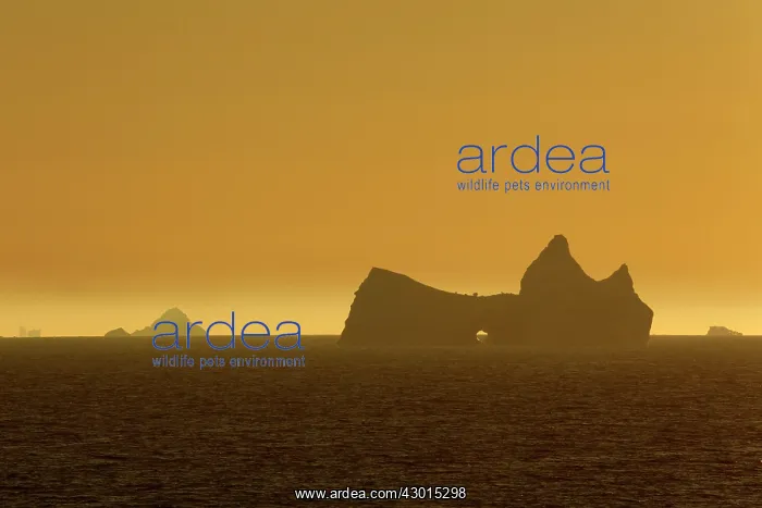  : Icebergs at sunrise Arctic ocean Summer