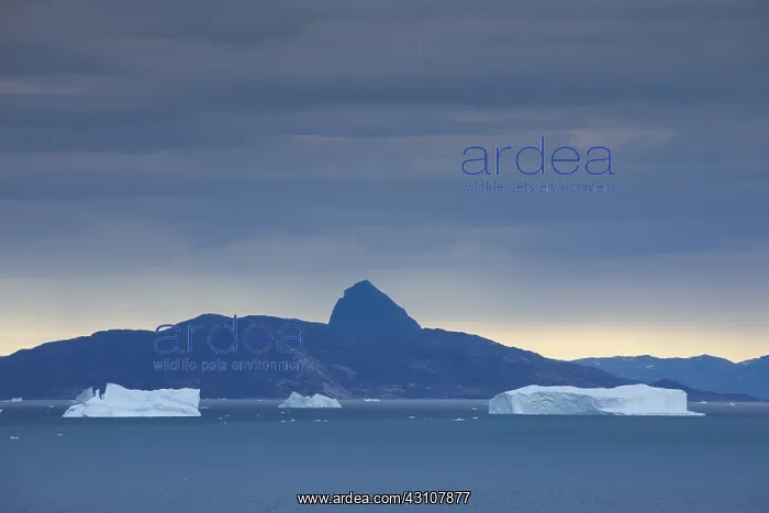  : Icebergs at Uummannaq Fjord - Greenland
