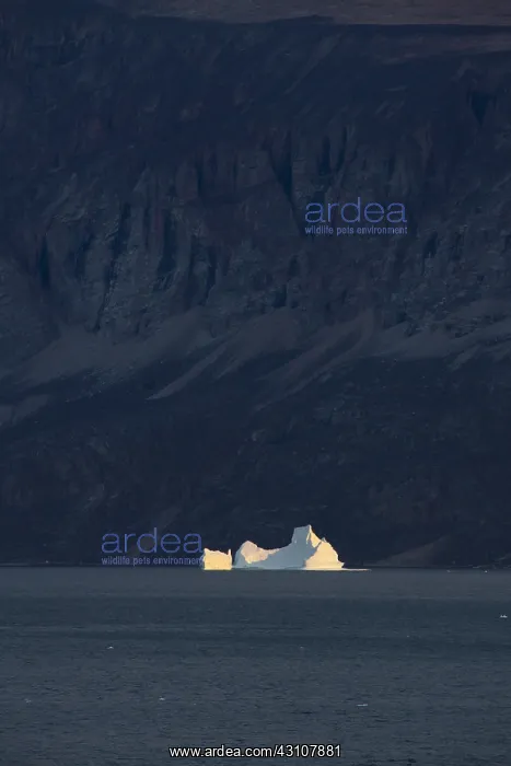  : Icebergs at Uummannaq Fjord - Greenland