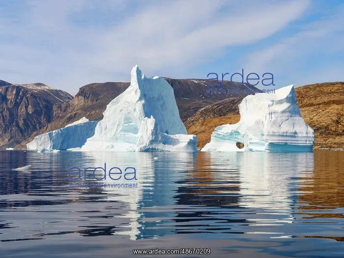 : Icebergs in the Uummannaq Fjord System, northwest Greenland : Icebergs in the Uummannaq Fjord System, northwest Greenland