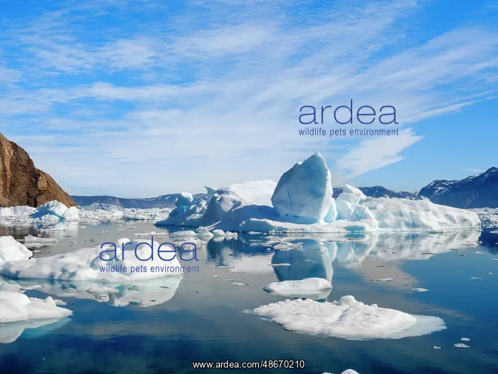 : Icebergs in the Uummannaq Fjord System, northwest Greenland : Icebergs in the Uummannaq Fjord System, northwest Greenland