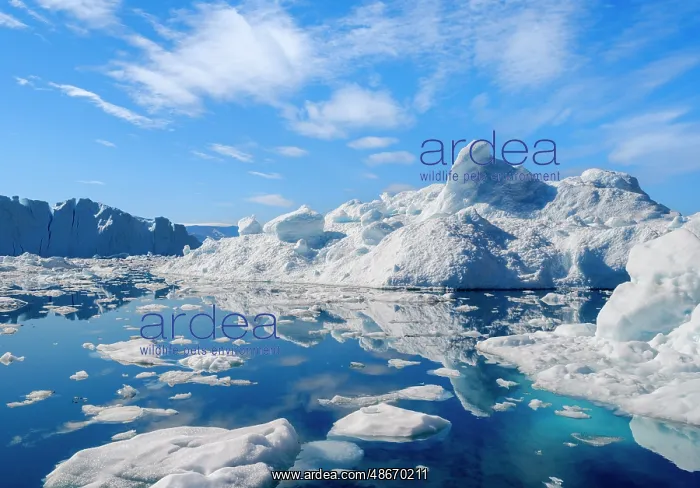 : Icebergs in the Uummannaq Fjord System, northwest Greenland : Icebergs in the Uummannaq Fjord System, northwest Greenland