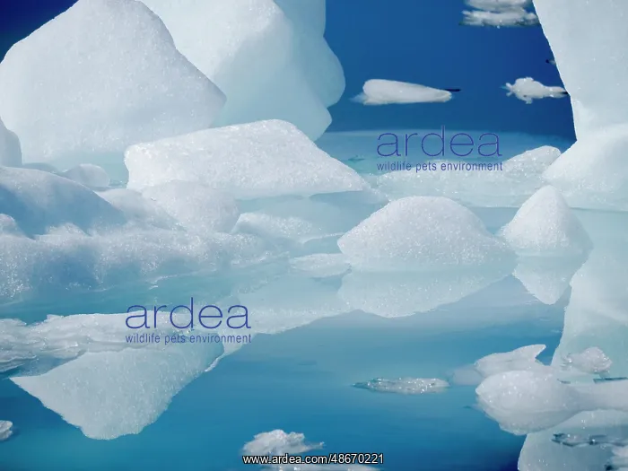 : Icebergs in the Uummannaq Fjord System, northwest Greenland : Icebergs in the Uummannaq Fjord System, northwest Greenland