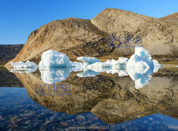 : Icebergs in the Uummannaq Fjord System, northwest Greenland : Icebergs in the Uummannaq Fjord System, northwest Greenland