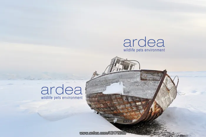  : Icebound Ship stranded in the ice at Spitsbergen