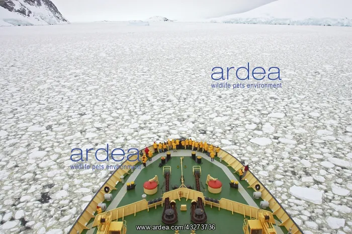 : Icebreaker Kapitan Chlebnikow with tourists, breaking : Icebreaker Kapitan Chlebnikow with tourists, breaking