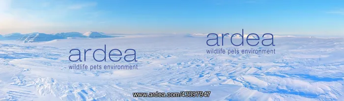 : Icefield Filchnerfonna. Winter landscape on the : Icefield Filchnerfonna. Winter landscape on the