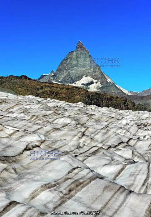: Icefield of the Gorner glacier with view of the : Icefield of the Gorner glacier with view of the