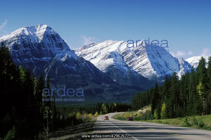 : Icefield Parkway : Icefield Parkway
