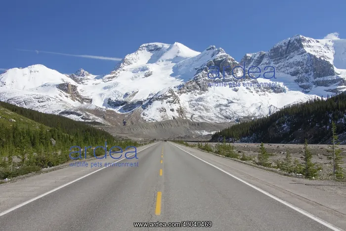  : Icefields Parkway