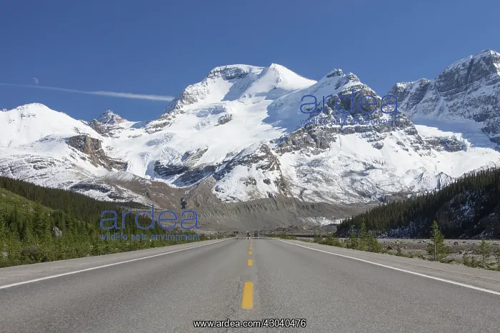  : Icefields Parkway