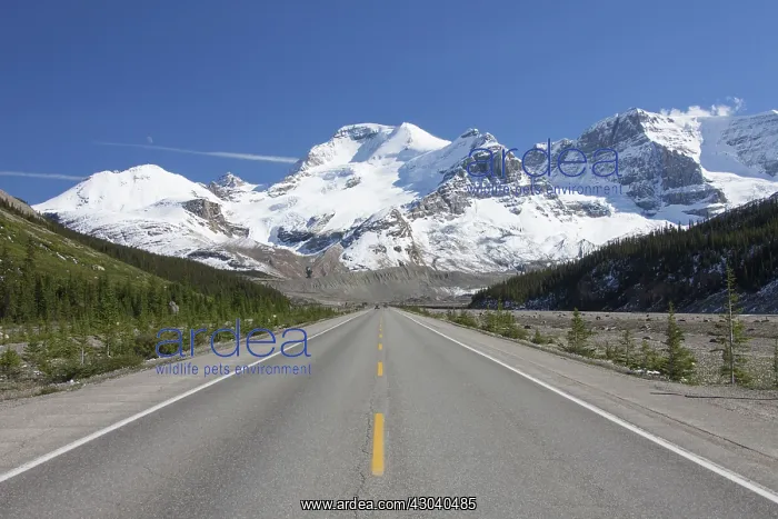  : Icefields Parkway