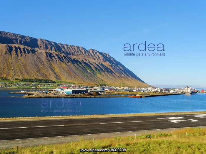  : Iceland, airport of Isafjordur, the capital of the
