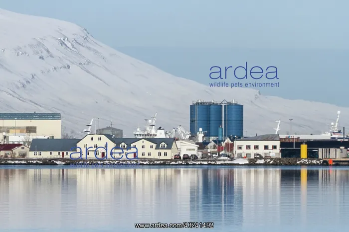 : Iceland, Akureyri. Overview of business : Iceland, Akureyri. Overview of business
