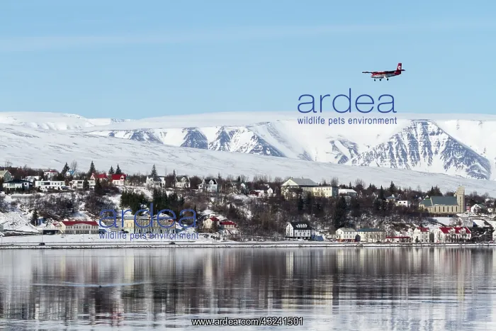  : Iceland, Akureyri. Small airplane on landing