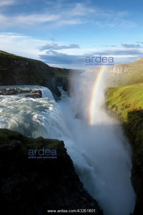 : Iceland, Arnessysla County, Rainbow forms : Iceland, Arnessysla County, Rainbow forms