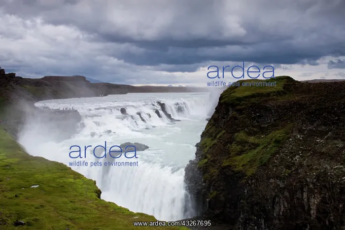 : Iceland, Arnessysla, Hvita River pours over : Iceland, Arnessysla, Hvita River pours over