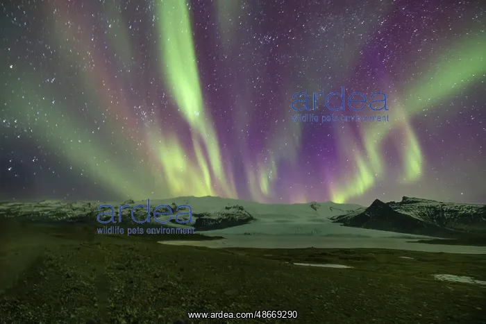 : Iceland, Aurora Borealis near Fjallsarlon : Iceland, Aurora Borealis near Fjallsarlon